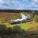 Sir Nigel Gresley 030509_2